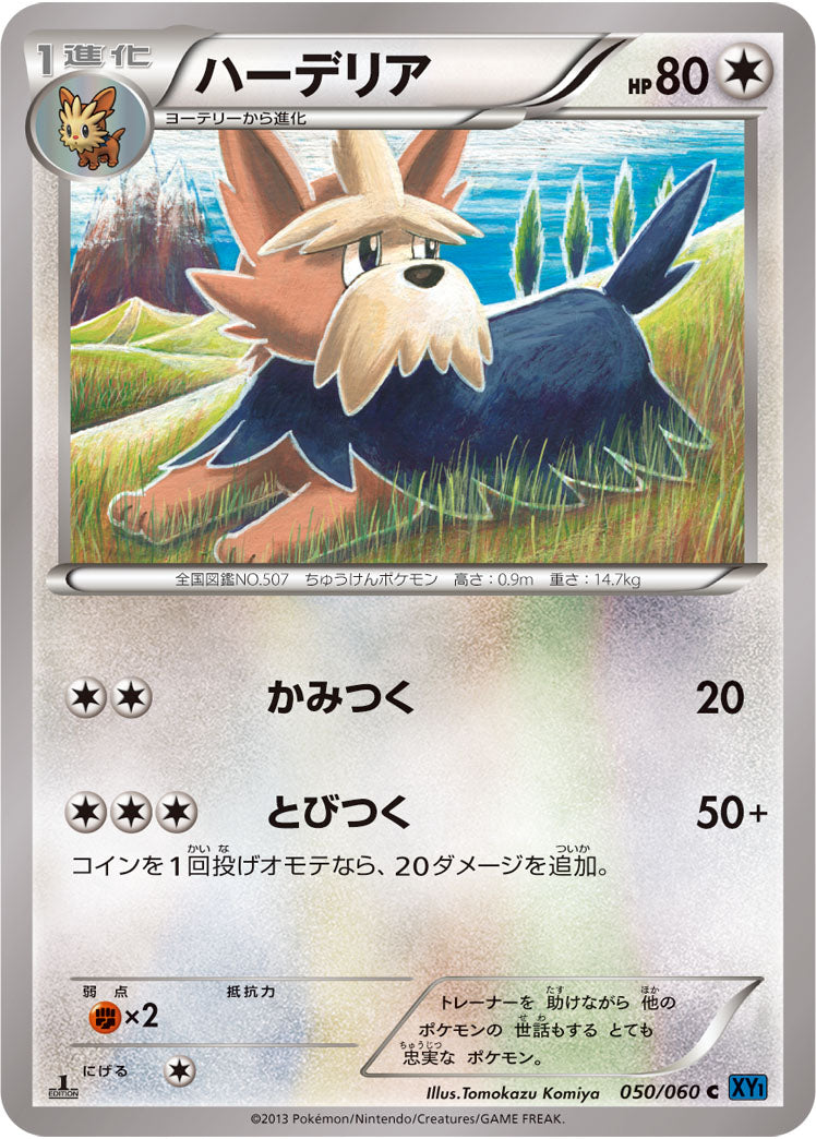 ハーデリア[050/060][U][XY1]