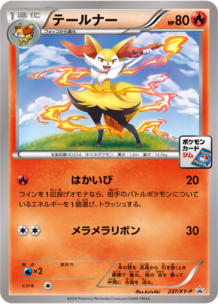 テールナー[237/XY-P][P][プロモ]