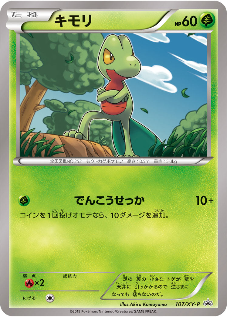 キモリ(未開封)[107/XY-P][P][プロモ]