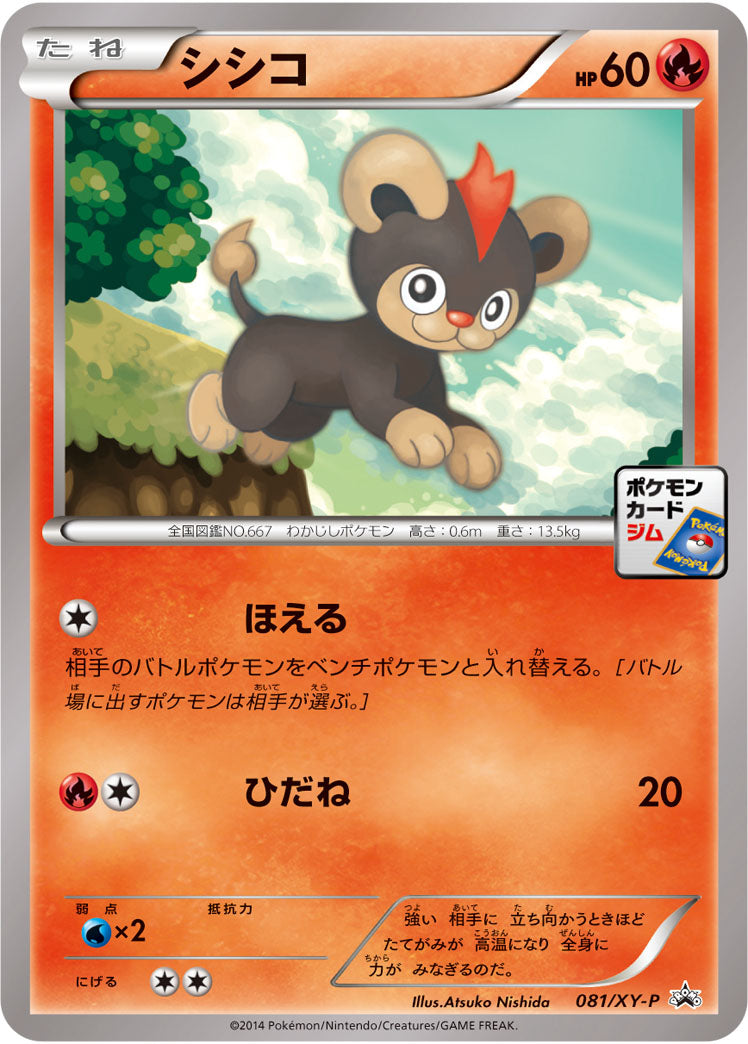 シシコ[081/XY-P][P][プロモ]