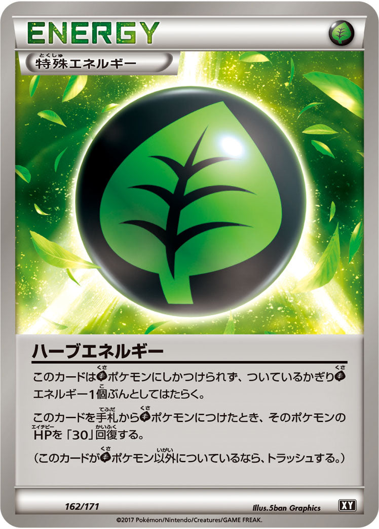 ハーブエネルギー[162/171][-][XY]