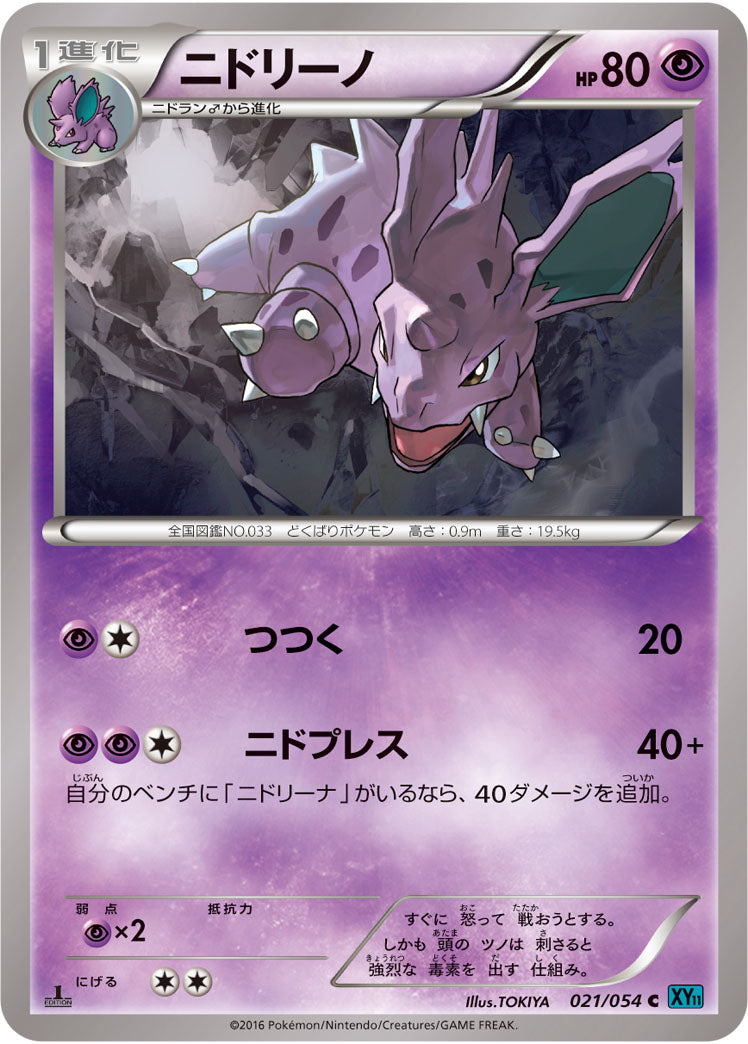 ニドリーノ[021/054][C][XY11青]
