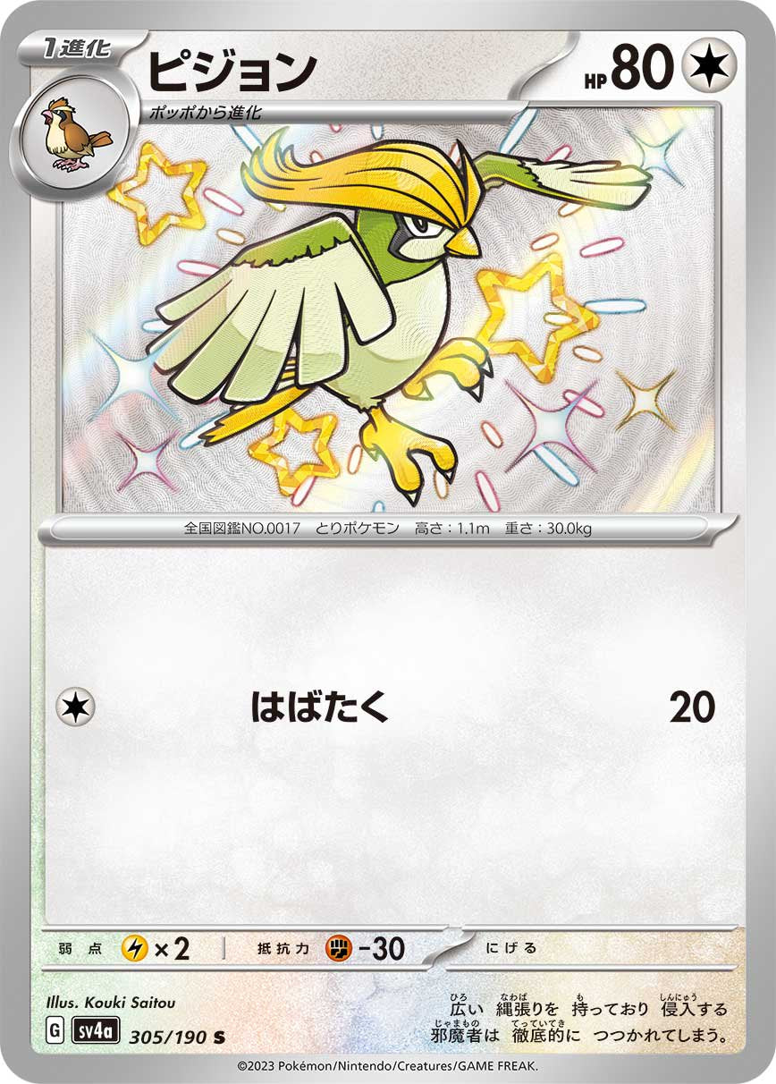 ピジョン[305/190][S][SV4a]