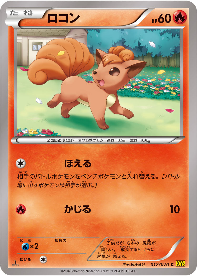 ロコン[012/070][C][XY5黄]