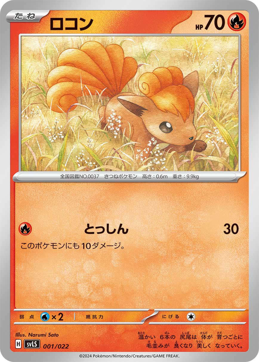 ロコン[001/022][-][SVLS]
