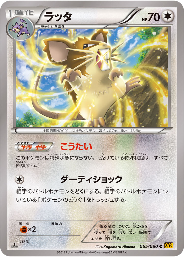 ラッタ[065/080][C][XY9]