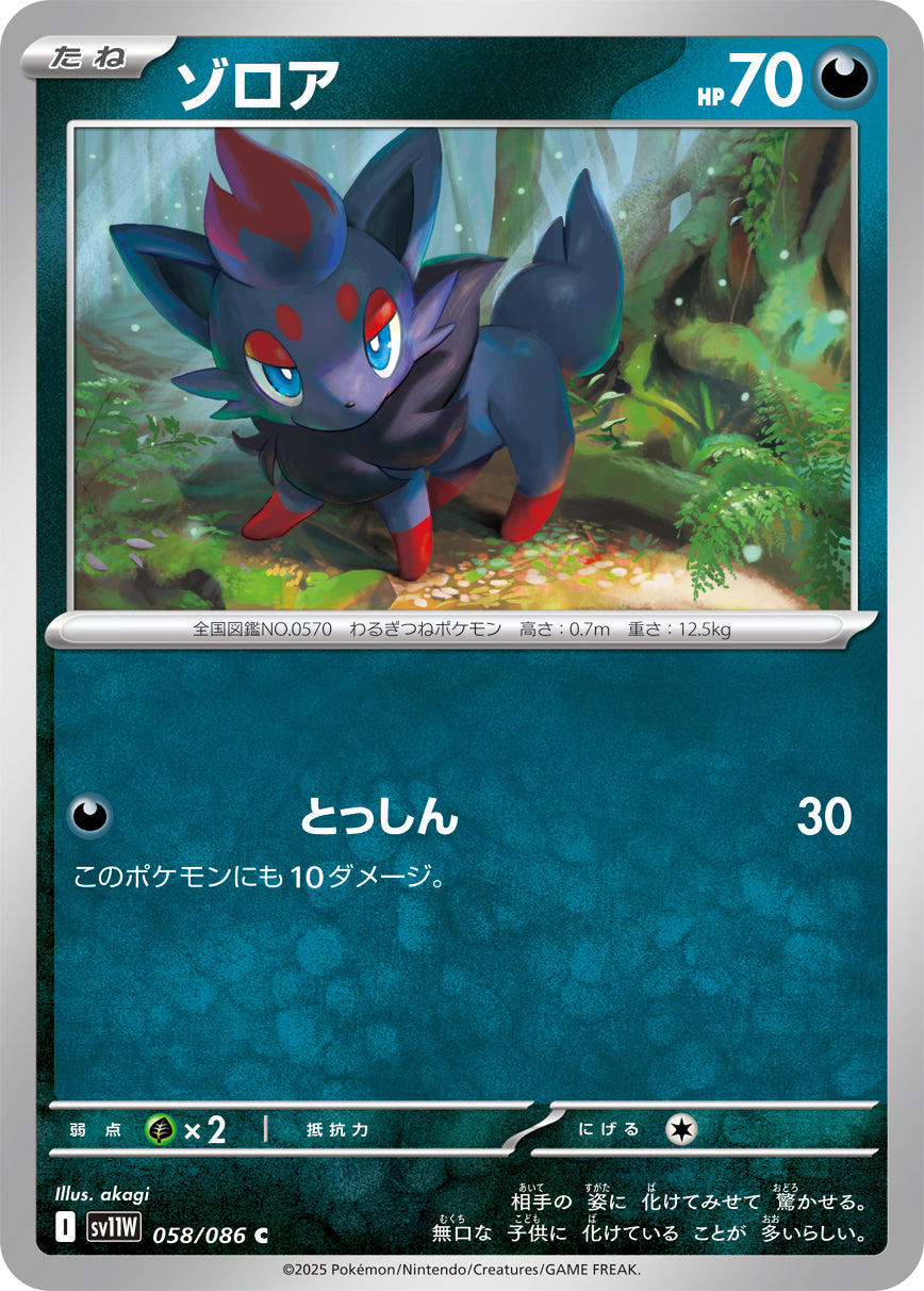ゾロア[058/086][C][SV11W]