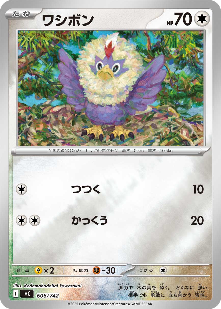 ワシボン(ミラー仕様)[606/742][-][MC]