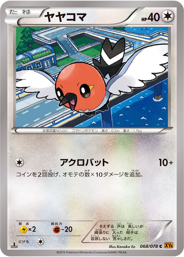 ヤヤコマ[068/078][C][XY6]