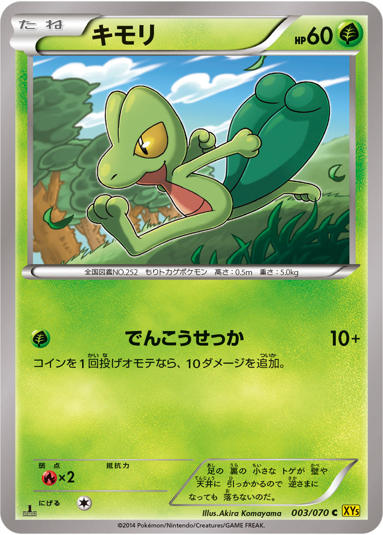 キモリ[003/070][C][XY5黄]