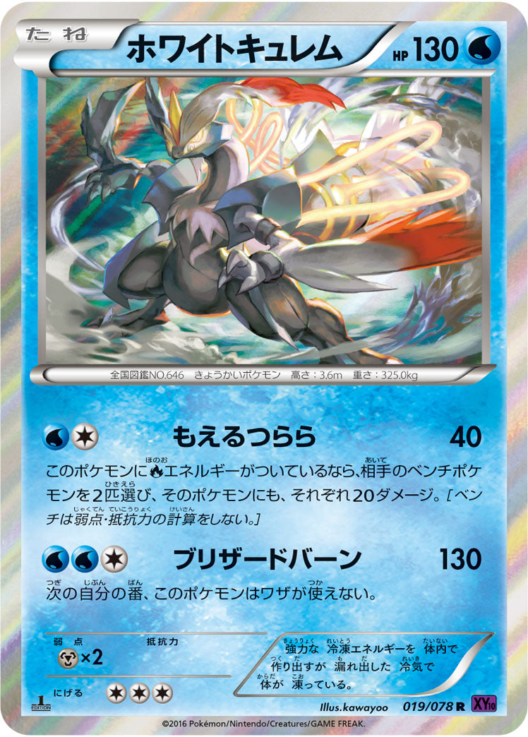 ホワイトキュレム[019/078][R][XY10]