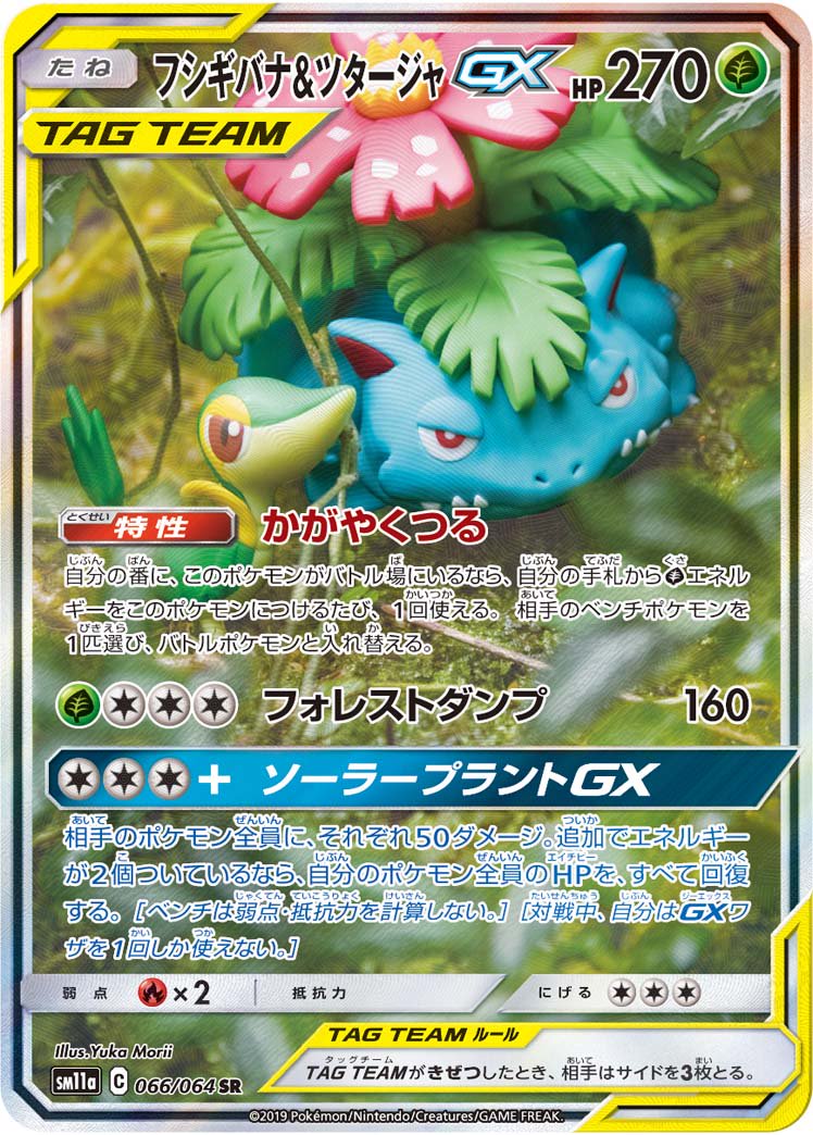 フシギバナ&ツタージャGX[066/064][SR/SA][SM11a]