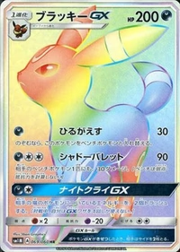 ブラッキーGX[069/060][HR][SM1M]