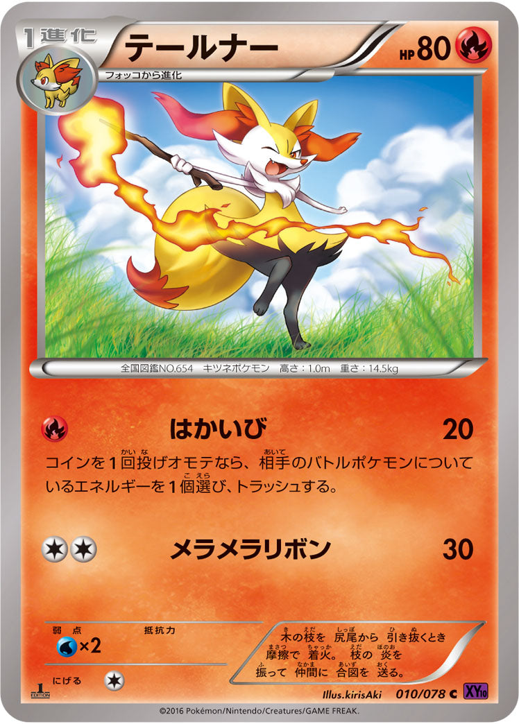 テールナー[010/078][C][XY10]