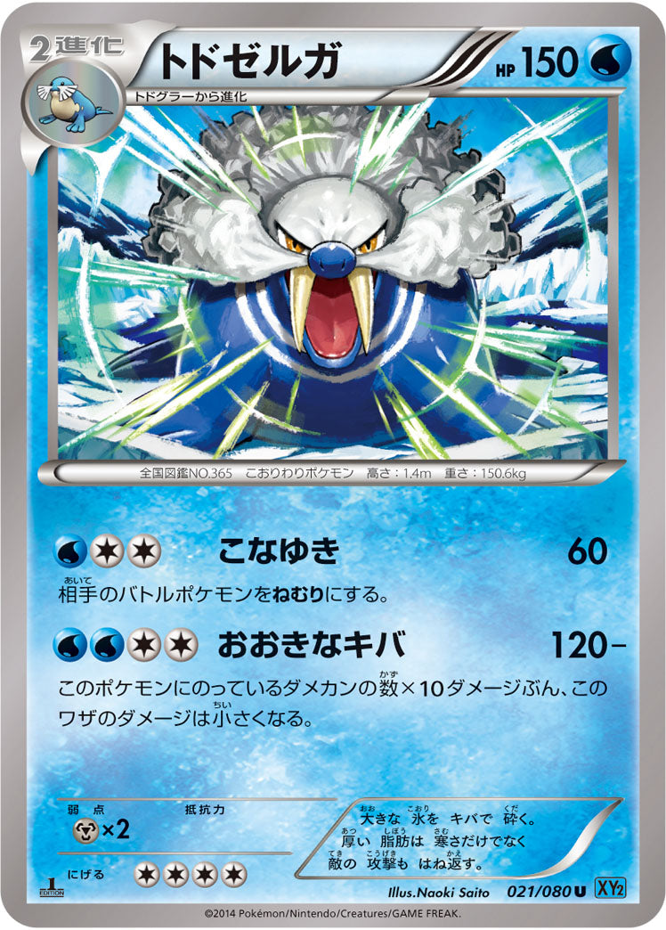 トドゼルガ[021/080][U][XY2]