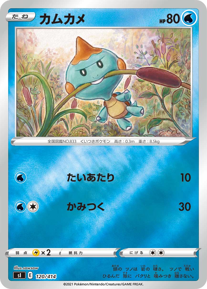 カムカメ(ミラー)[120/414][-][SI]