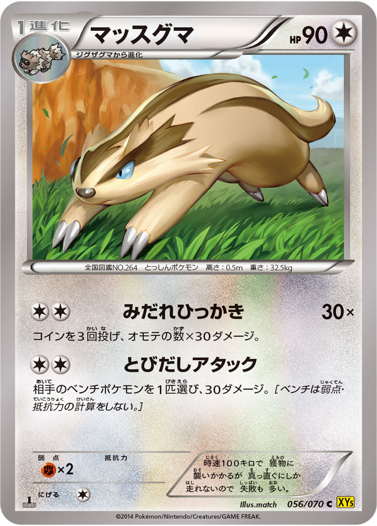 マッスグマ[056/070][C][XY5黄]