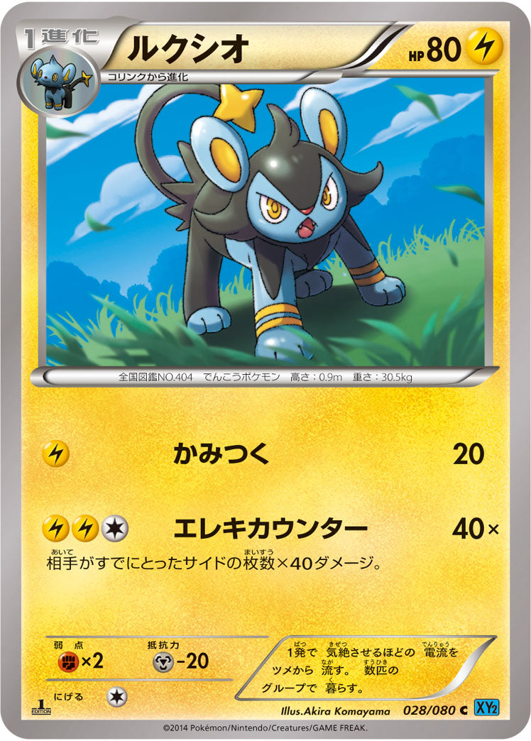 ルクシオ[028/080][C][XY2]