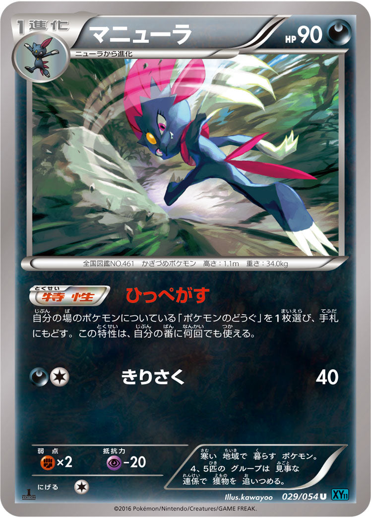 マニューラ[029/054][U][XY11青]