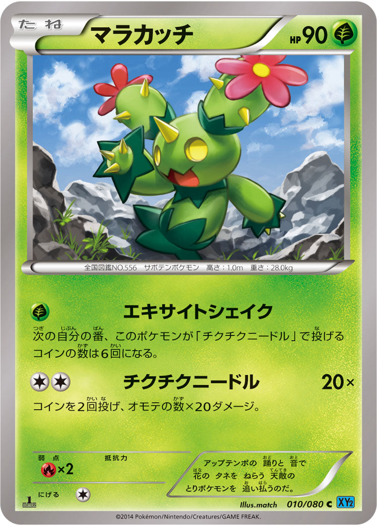 マラカッチ[010/080][C][XY2]