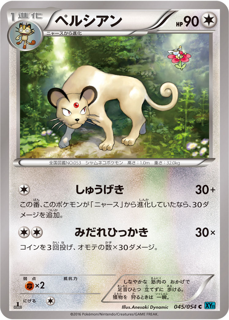 ペルシアン[045/054][C][XY11青]