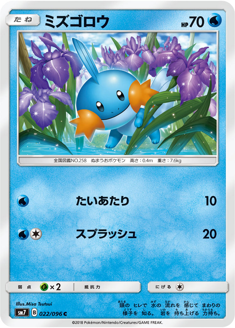 ミズゴロウ[022/096][C][SM7]