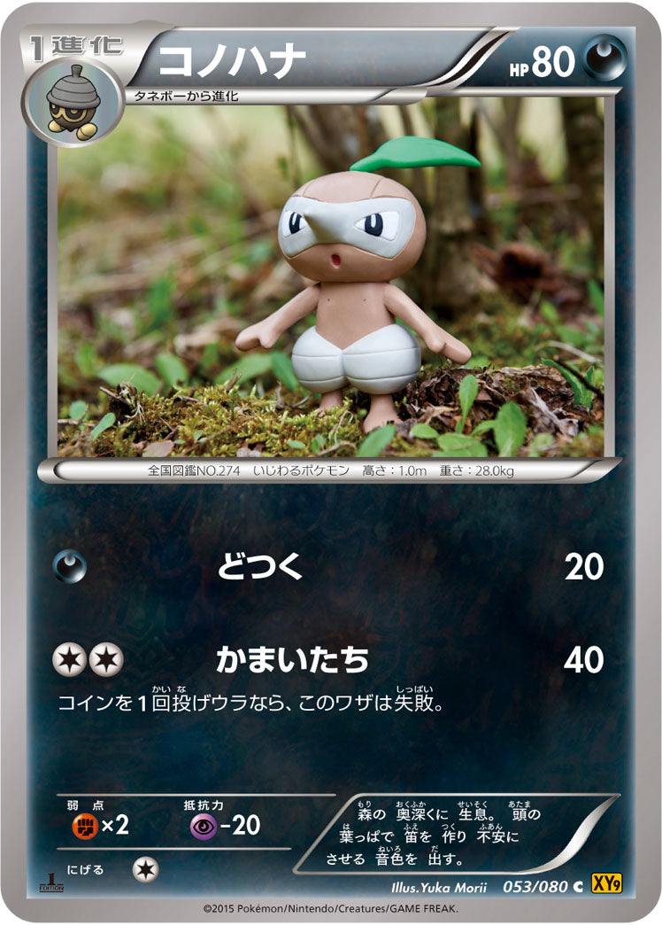 コノハナ[053/080][C][XY9]