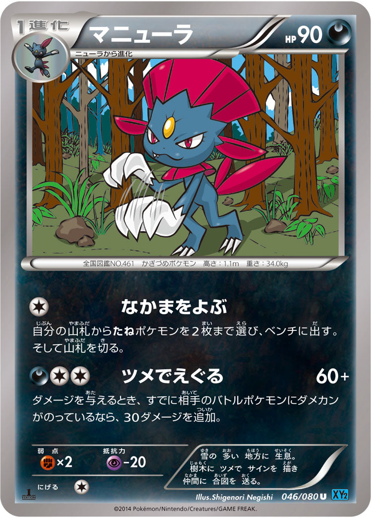 マニューラ[046/080][U][XY2]