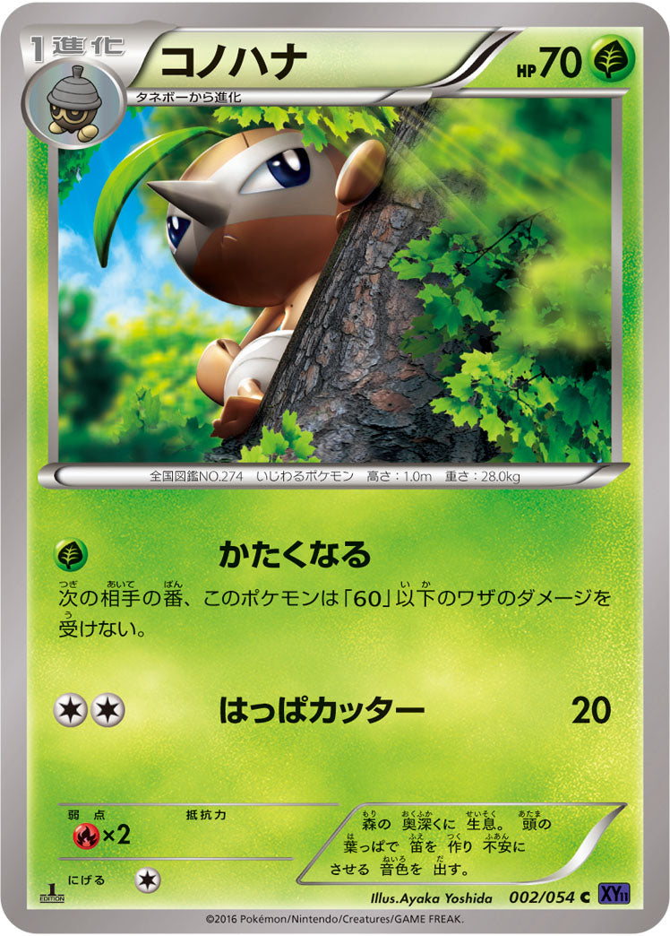 コノハナ[002/054][C][XY11紫]