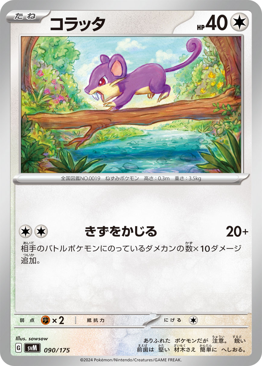 コラッタ[090/175][-][SVM]