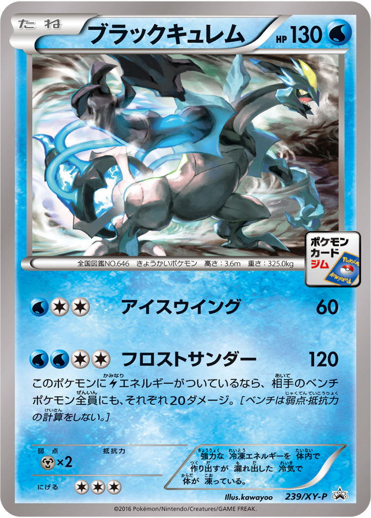 ブラックキュレム[239/XY-P][P][プロモ]