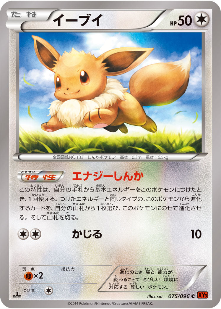 イーブイ[075/096][C][XY3]