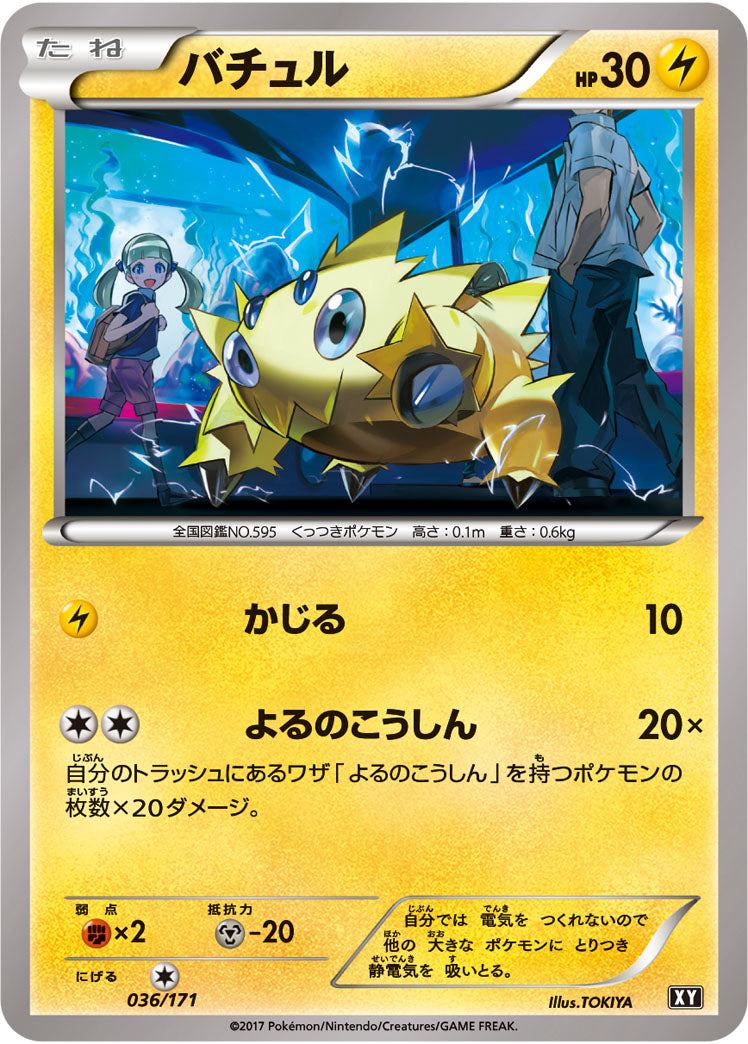 バチュル[036/171][-][XY]