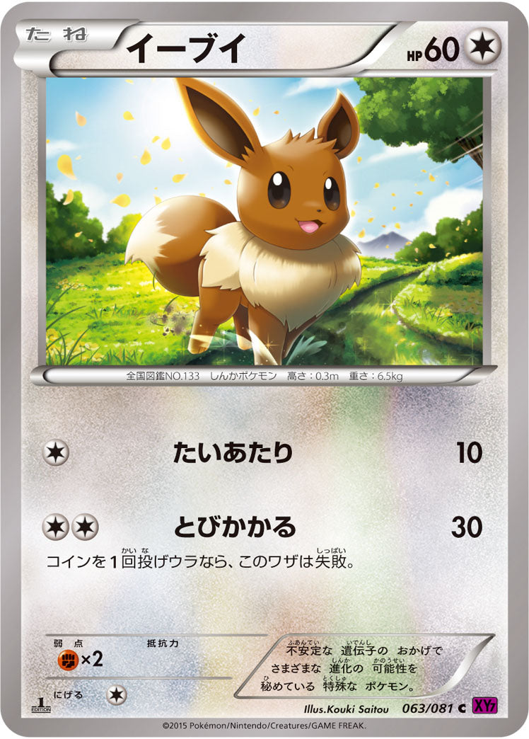 イーブイ[063/081][C][XY7]