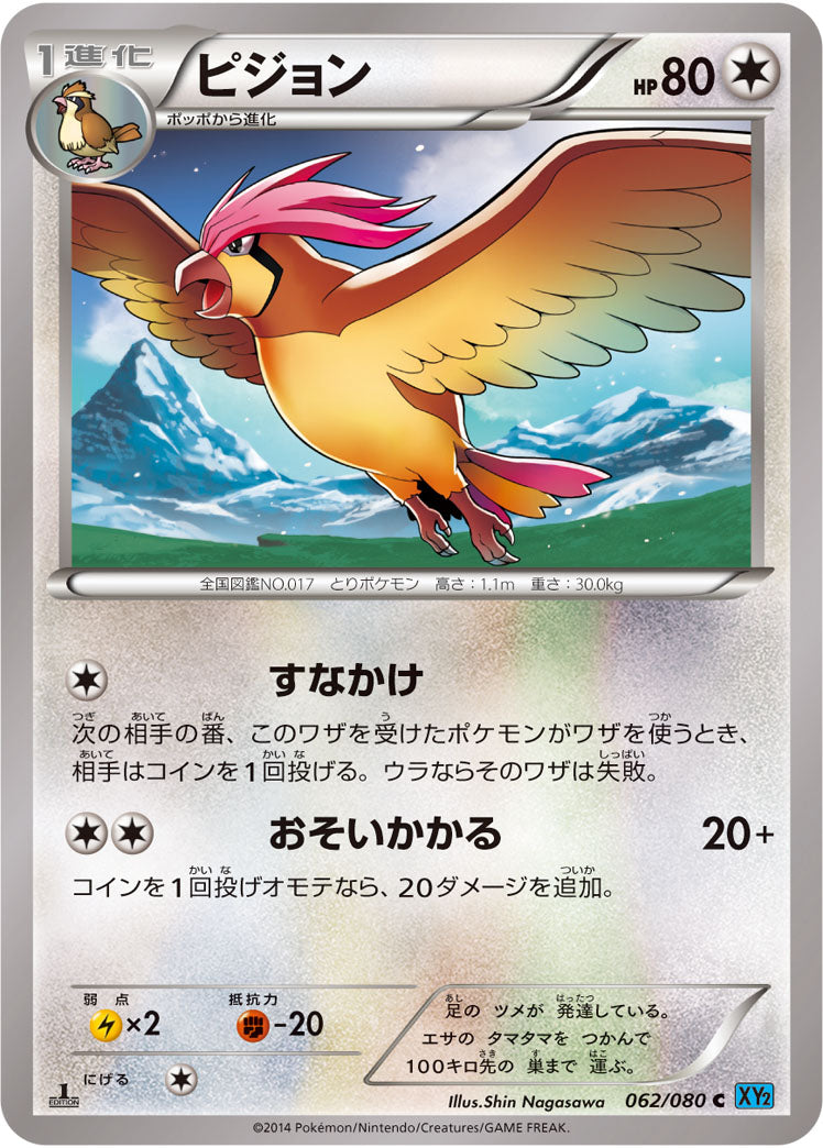 ピジョン[062/080][C][XY2]