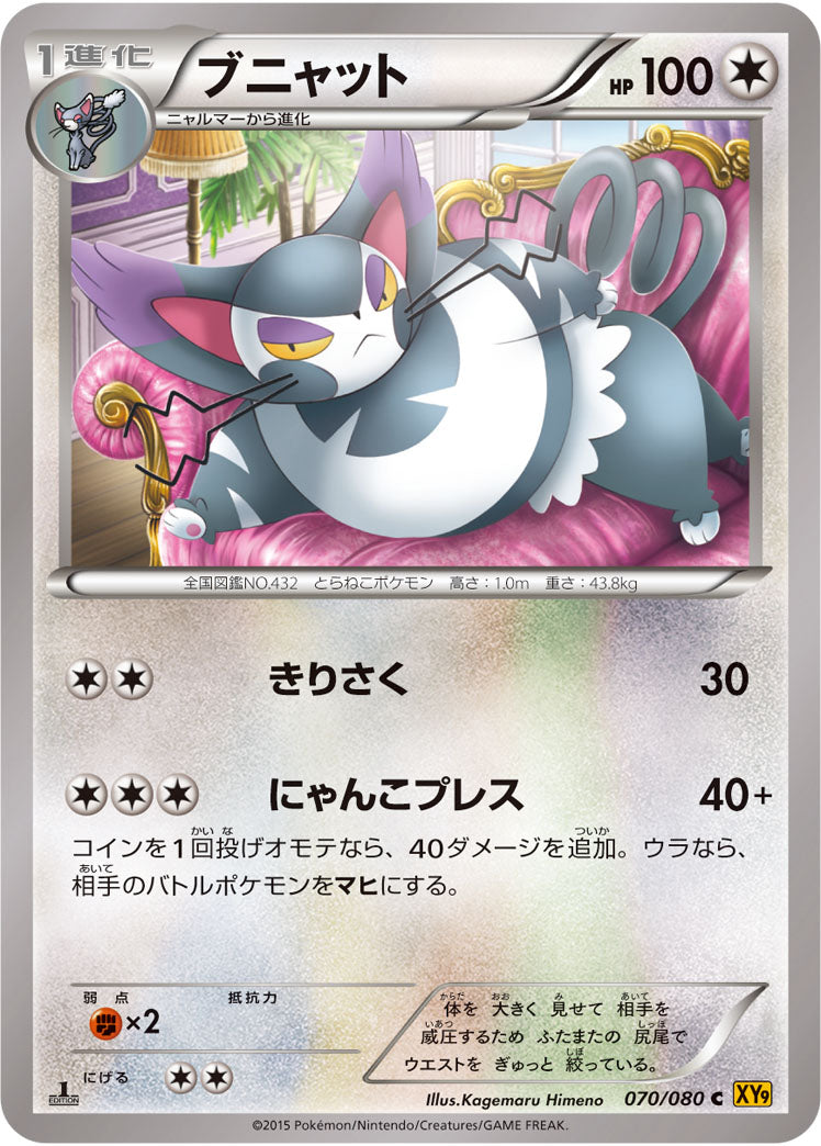 ブニャット[070/080][C][XY9]