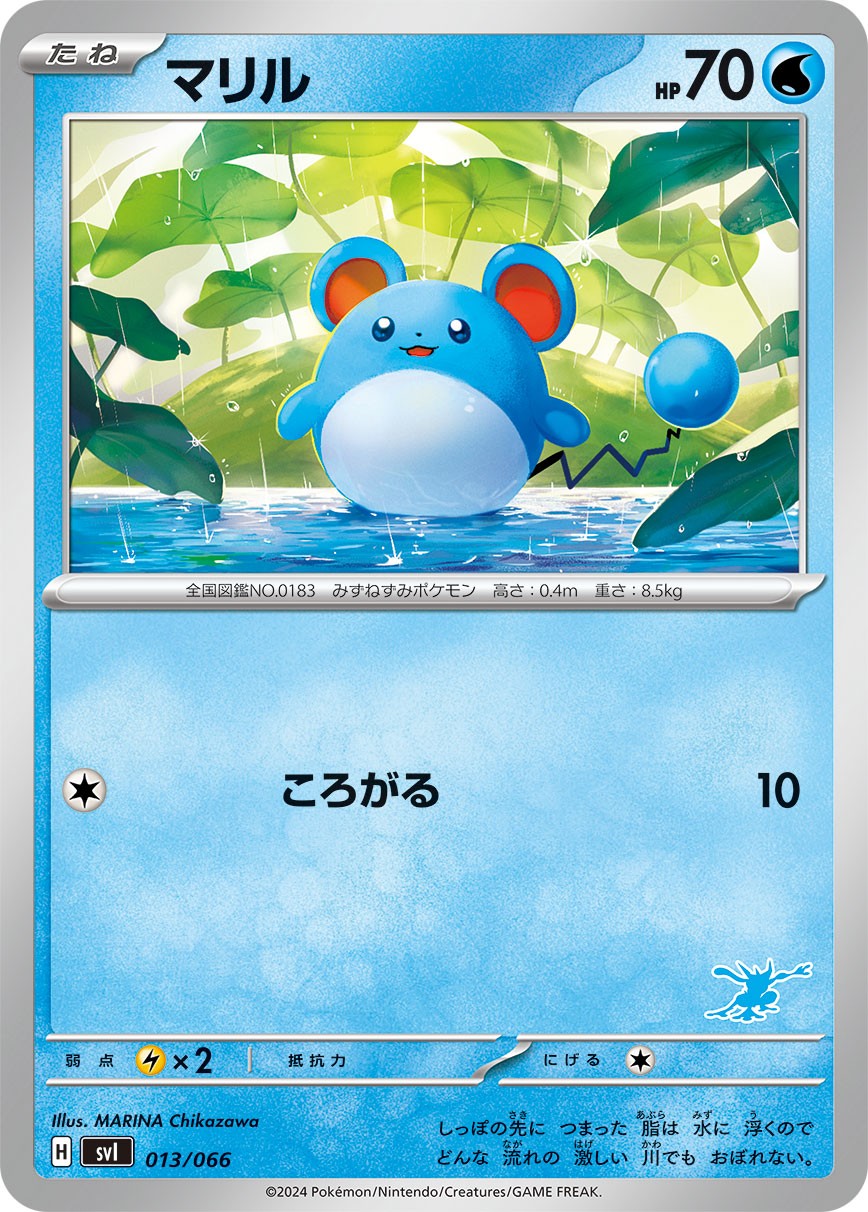 マリル[013/066][-][SVI]