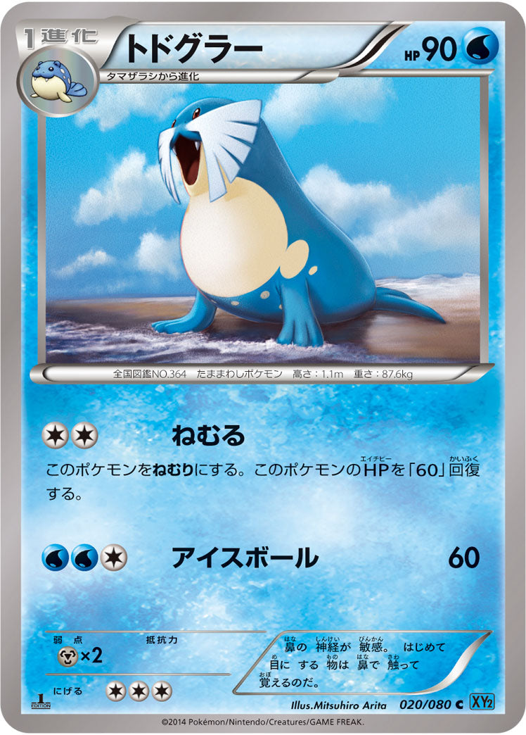 トドグラー[020/080][C][XY2]