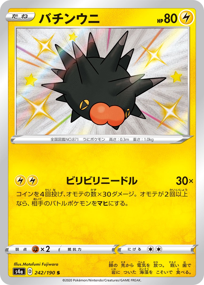 バチンウニ[242/190][S][S4a]