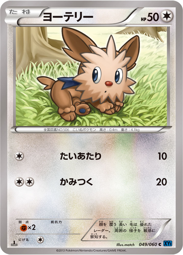 ヨーテリー[049/060][C][XY1]