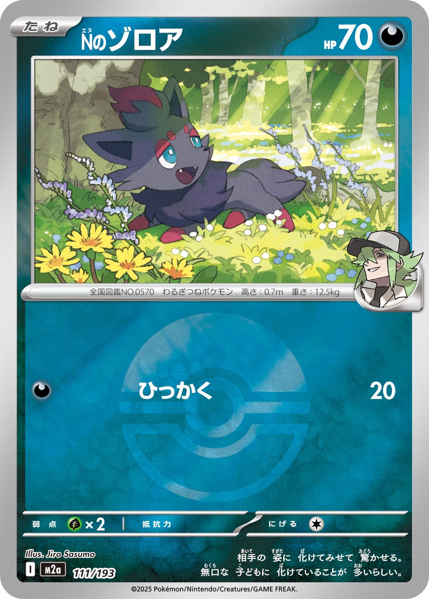 Nのゾロア(ボールミラー)[111/193][-][M2a]