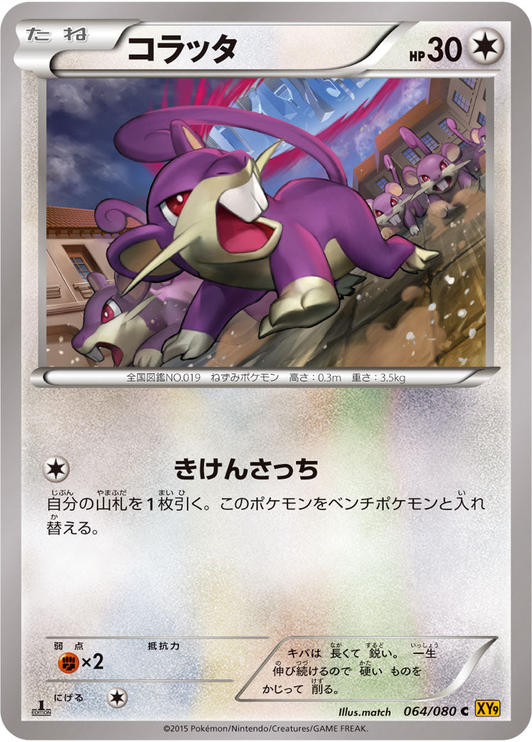 コラッタ[064/080][C][XY9]