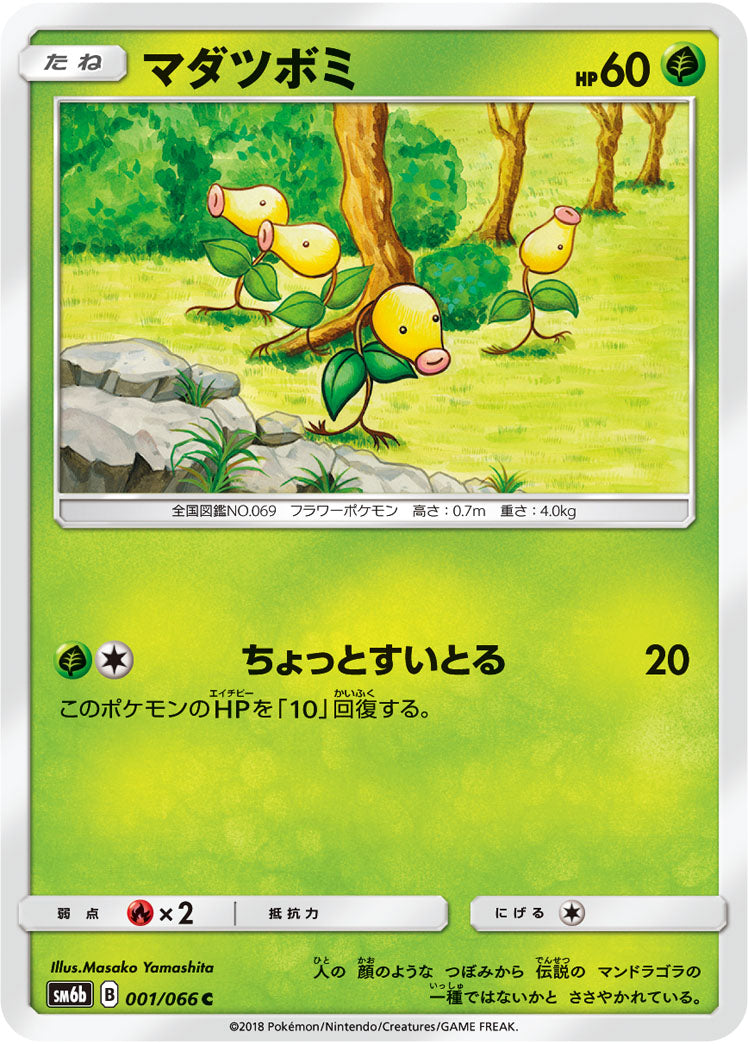 マダツボミ[001/066][C][SM6b]