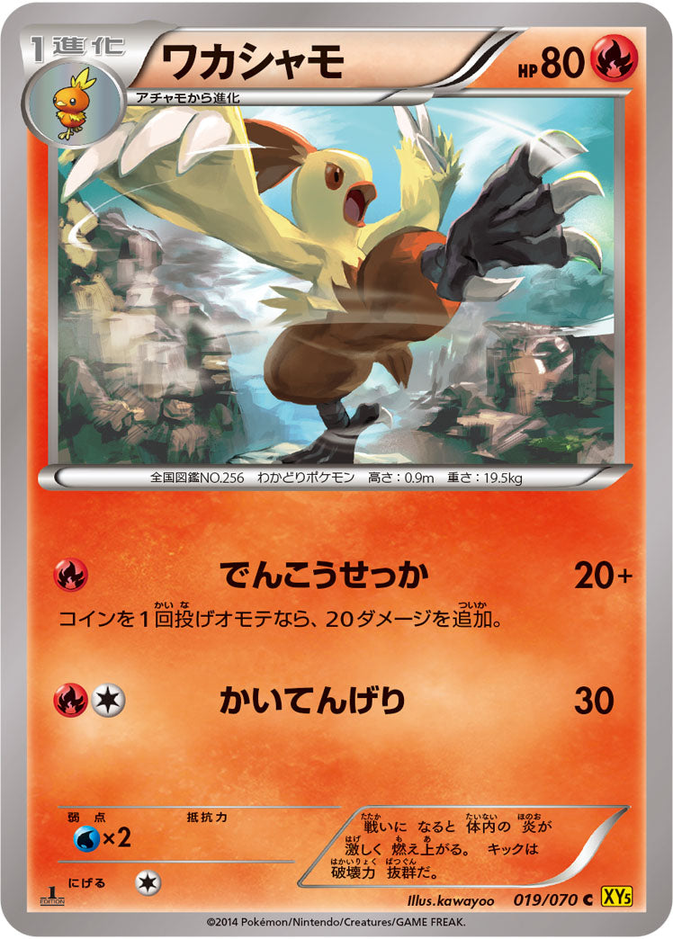 ワカシャモ[019/070][C][XY5黄]