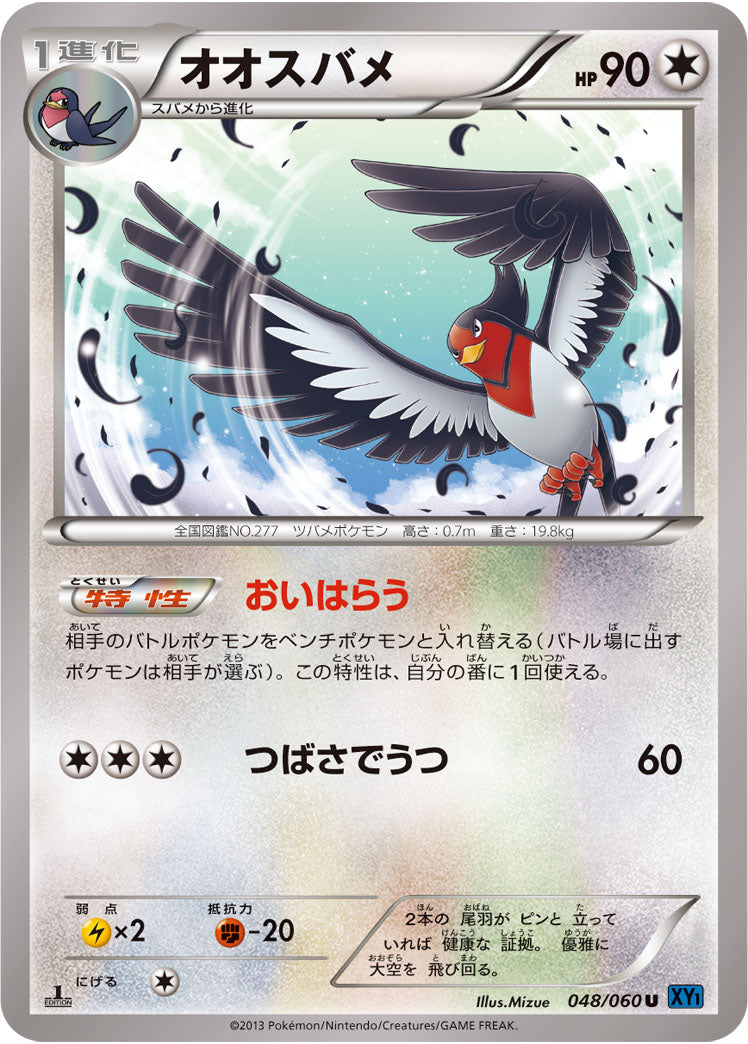 オオスバメ[048/060][U][XY1]