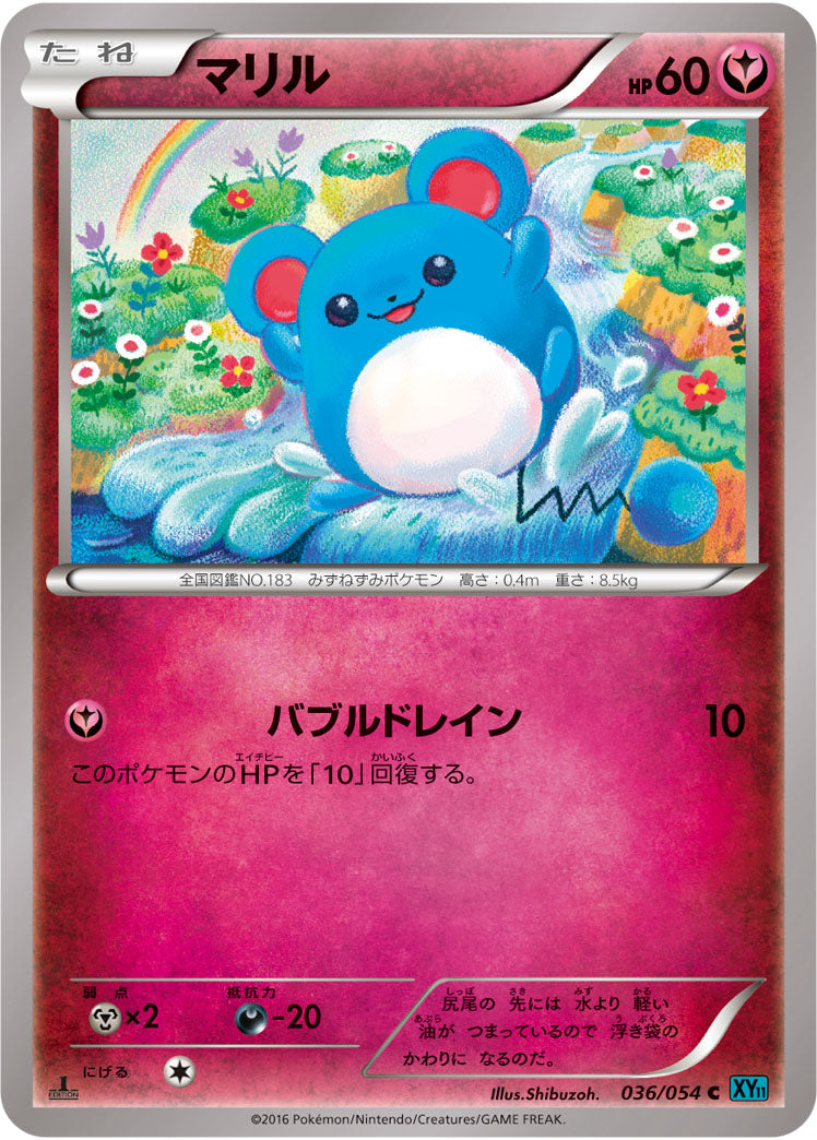 マリル[036/054][C][XY11青]