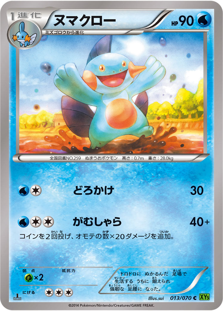 ヌマクロー[013/070][C][XY5緑]