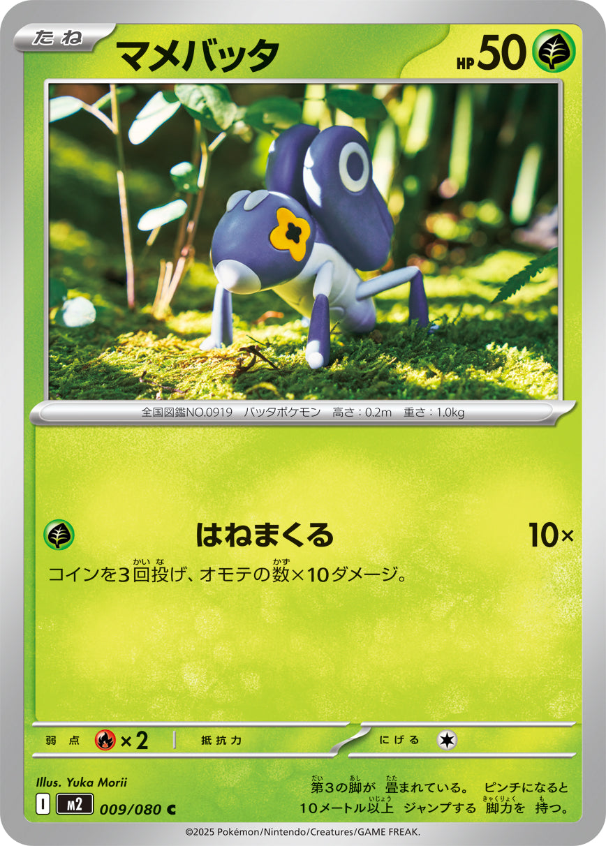 マメバッタ[009/080][C][M2]