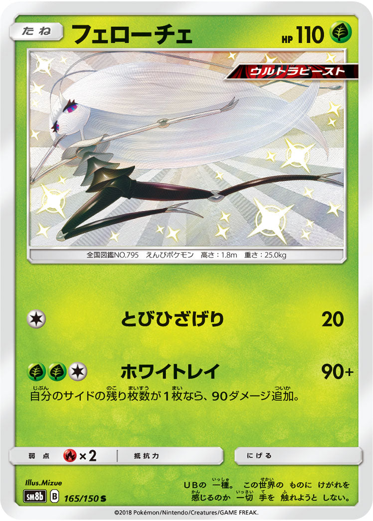 フェローチェ[165/150][S][SM8b]
