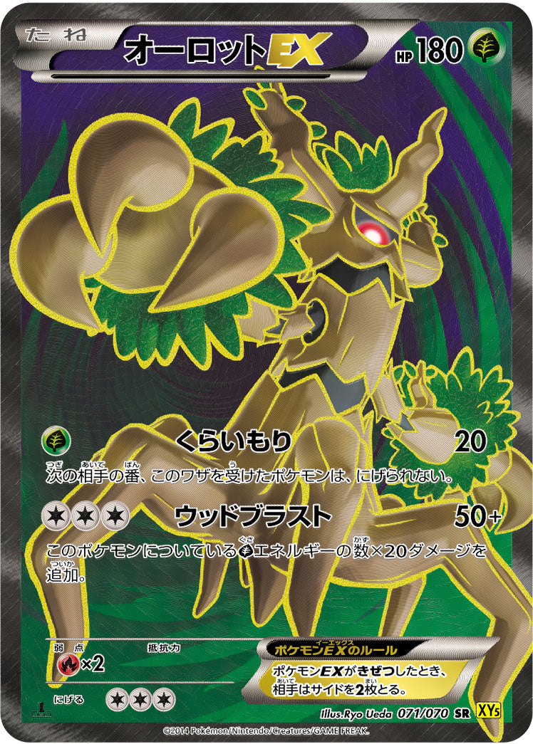 オーロットEX[071/070][SR][XY5黄]
